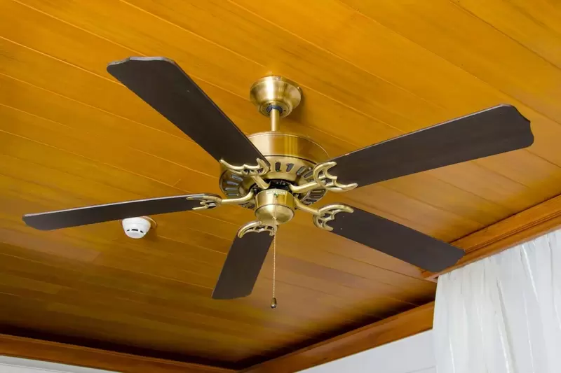 How to See Only Ceiling Fans For Free